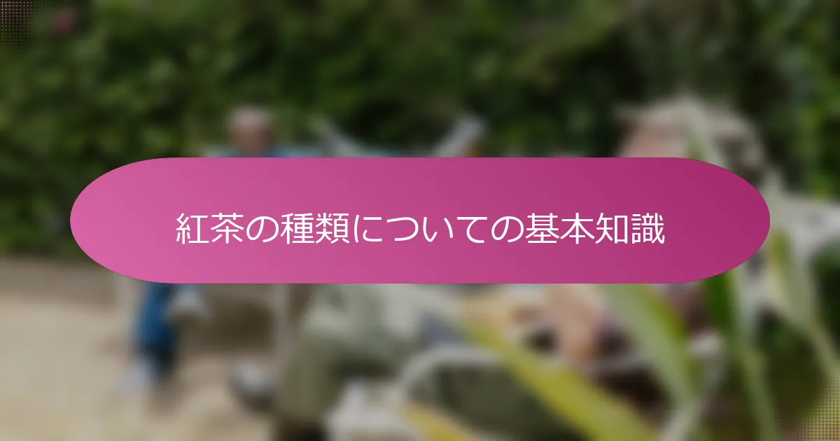 紅茶の種類についての基本知識